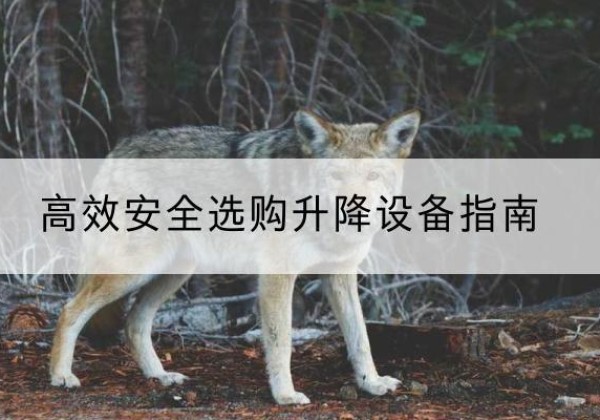 方正升降货梯厂家推荐-*安全选购升降设备指南