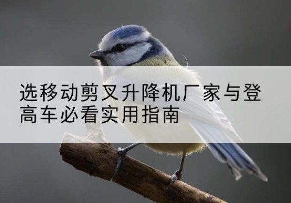 方正电动升降机厂家-选移动剪叉升降机厂家与登高车必看实用指南